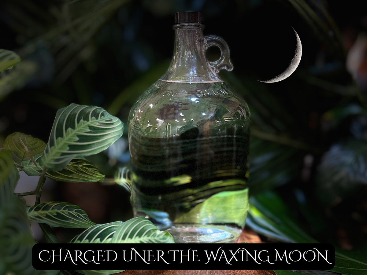 Sex Magick 8oz – Manifestation & Spiritual Pleasure
