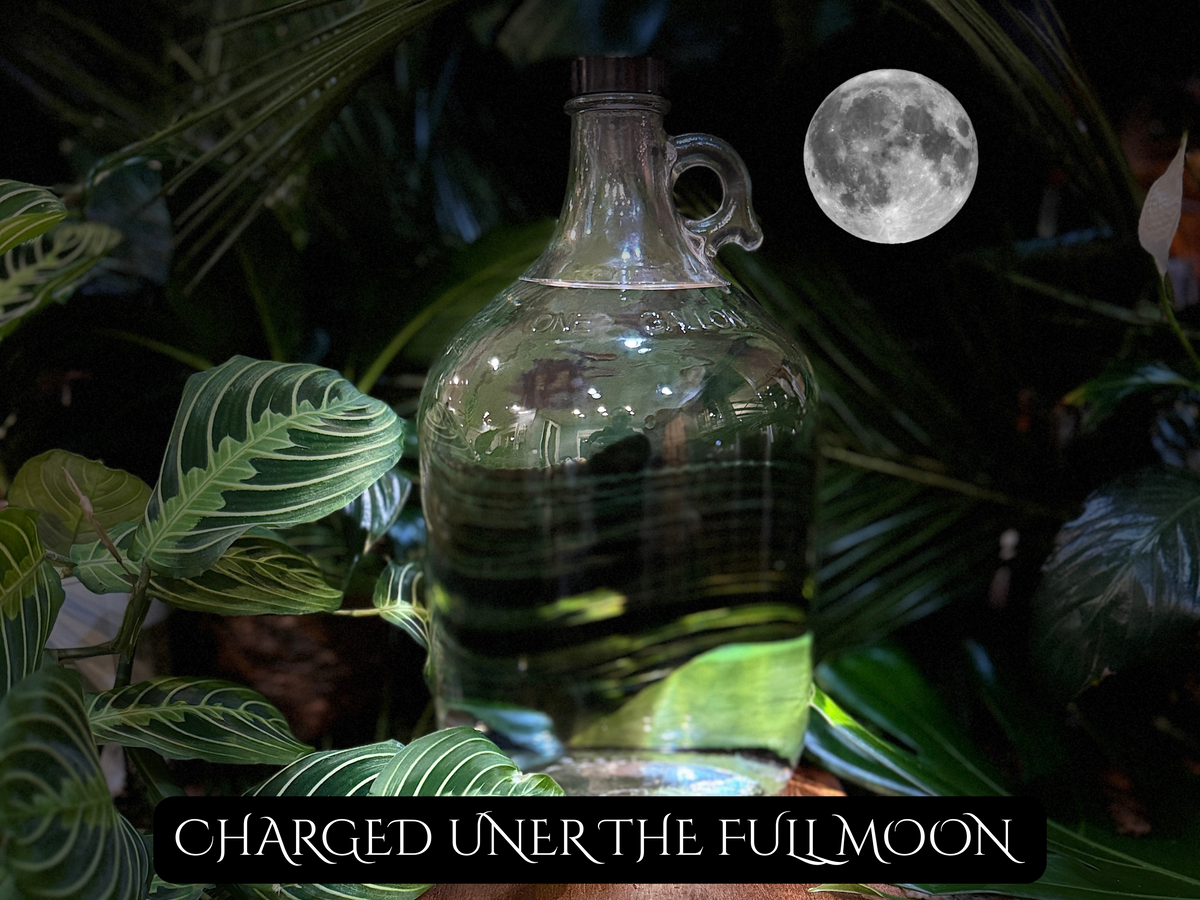 Sacred Flame 8oz – Union & Soulmate Connection